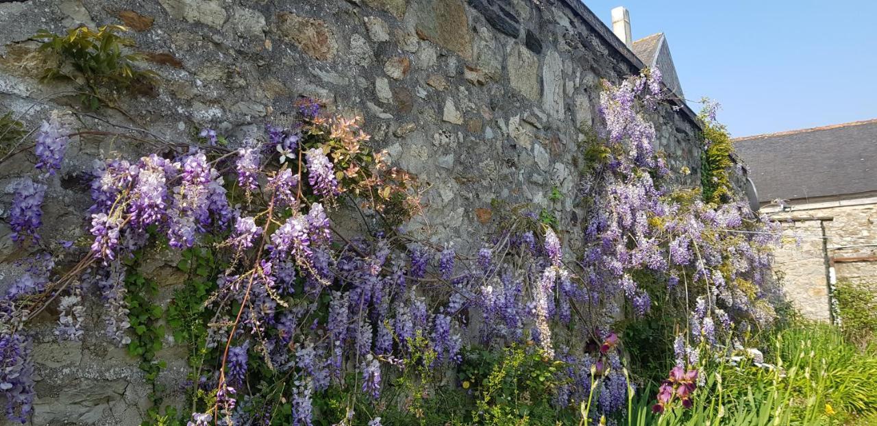 Maison Papillons Plomodiern Esterno foto